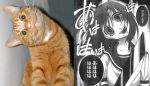  1girl billhook cat comic comparison crazy_eyes hatchet head_tilt higurashi_no_naku_koro_ni monochrome parody photo ryuuguu_rena 