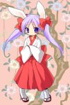  1girl animal_ears hakama hiiragi_kagami japanese_clothes kamiyoshi kamiyoshi_rika long_hair lucky_star miko purple_hair rabbit_ears red_hakama solo twintails violet_eyes 