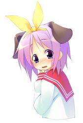  animal_ears dog_ears hiiragi_tsukasa lucky_star school_uniform serafuku tears 