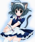  animal_ears cat_ears cat_tail kuromaru maid panties pantyshot striped striped_panties tail thigh-highs underwear zettai_ryouiki 