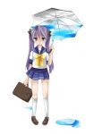  1girl hiiragi_kagami hizu ichiya_(obey) lucky_star school_uniform serafuku solo umbrella 