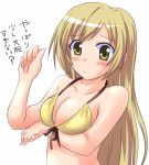  1girl bikini breasts cleavage jun_(aoerm) large_breasts minami-ke minami_haruka solo swimsuit 