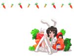  4girls animal_ears carrot female footwear gengorou hat highres inaba_tewi kneehighs multiple_girls panties plant rabbit_ears socks touhou underwear wallpaper white_background 