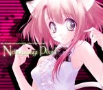  00s 1girl 2005 :o animal_ears artist_name asymmetrical_hair blue_eyes cat_ears cat_tail looking_at_viewer mogami_rio original pink_hair redhead short_hair solo striped striped_background tail watermark web_address 