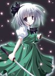  1girl blue_eyes dual_wielding female katana konpaku_youmu looking_at_viewer petals shirogane_hina solo sword touhou weapon white_hair 