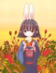  1girl animal_ears ball berries hasaha rabbit_ears solo summon_night summon_night_2 