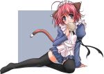  1girl animal_ears black_legwear cat_ears female maid maid_headdress original solo thigh-highs zettai_ryouiki 