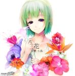  dress flower green_hair hairband idolmaster mole otonashi_kotori pos purple_eyes solo translated violet_eyes 