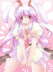  bunny_ears haduki hazuki_m highres long_hair necktie purple_hair rabbit_ears red_eyes reisen_udongein_inaba touhou very_long_hair 