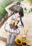  1girl black_hair bush camera flower heterochromia ikegami_akane mayumi_thyme petals shuffle! sidelocks sitting solo stairs sunflower thigh-highs zettai_ryouiki 