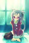  1girl animal_ears arm_support bed bell cat_ears cat_tail christmas hair_ribbon inato_serere jingle_bell looking_at_viewer original ribbon sitting smile solo sunglasses tail thigh-highs window yokozuwari 