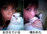  1girl animal cat lowres nakagawa_shoko nakagawa_shouko photo real_life translation_request what 