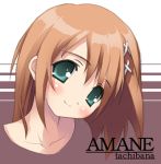  00s 1girl blush brown_hair canvas green_eyes kantoku lowres smile solo tachibana_amane 