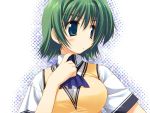  00s 1girl amazuyu_tatsuki blue_eyes comic_party female green_eyes green_hair oba_eimi ooba_eimi school_uniform serafuku short_hair simple_background solo 