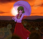  1girl ascot female green_hair kazami_yuuka long_skirt plaid plaid_skirt plaid_vest red_eyes skirt skirt_set solo touhou tsuyadashi_shuuji umbrella youkai 