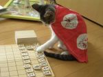  board_game cat no_humans photo shougi 