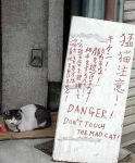  cat english japanese photo sign translation_request warning 