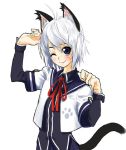  animal_ears cat_ears cat_tail school_uniform serafuku tail takano_saki 