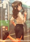  1girl brown_eyes brown_hair bus ground_vehicle long_hair looking_back motor_vehicle original pantyhose pencil_skirt rustle skirt solo teacher train translated vehicle 