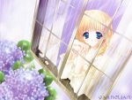  blonde_hair blue_eyes carnelian curtains flower hydrangea long_hair original rain window 