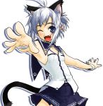  1girl ;d ahoge animal_ears blue_eyes blush cat_ears cat_tail fangs foreshortening grey_hair one_eye_closed open_mouth original outstretched_arms outstretched_hand petite pleated_skirt short_hair skirt smile solo spread_arms tail takano_saki 