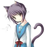  1girl animal_ears cat_ears cat_tail face nagato_yuki nakamura_kusata school_uniform serafuku short_hair solo suzumiya_haruhi_no_yuuutsu tail 
