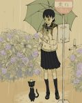  bus_stop cat flower hydrangea original purimari school_uniform serafuku umbrella 