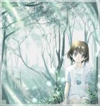 1girl :o blue_eyes brown_hair forest grass iuro light_rays looking_away nature original scenery short_hair sitting solo sparkle sunbeam sunlight transparent tree 