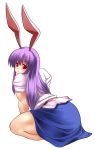  aoinagi bunny_ears long_hair muscle purple_hair rabbit_ears red_eyes reisen_udongein_inaba skirt touhou 