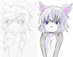  anthropomorphic blue_eyes cat furry nekomimi whiskers white_hair 