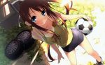  blue_eyes blush brown_hair collarbone kantoku miyazawa_midori natsu_no_ame ponytail ribbon skirt soccer_ball tanline tire 