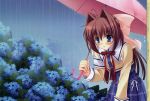  asakura_otome da_capo da_capo_ii rain umbrella 