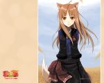  animal_ears blush brown_hair holo long_hair red_eyes spice_and_wolf tail wallpaper wheat wolf_ears 