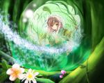 brown_hair dress flower green heterochromia long_hair rozen_maiden suiseiseki tagme watering_can 