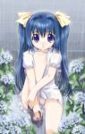  1girl blue_hair child csy flower hydrangea long_hair panties pantyshot pantyshot_(sitting) rain sitting solo tears twintails underwear violet_eyes wet 