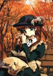  1girl apron autumn autumn_leaves bench blue_eyes book brown_hair flower freckles hat hat_flower highres ishida_atsuko juliet_sleeves leaf long_sleeves neck_ribbon original outdoors photo_background puffy_sleeves ribbon sitting solo tree wind 