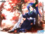  00s 1girl against_tree autumn autumn_leaves blue_hair green_eyes leaf maple_leaf narukaze_minamo school_uniform serafuku solo thigh-highs tree twintails under_tree white_legwear wind_a_breath_of_heart yuuki_tatsuya 