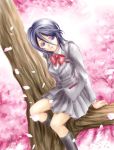  1girl black_hair bleach cherry_blossoms hair_between_eyes in_tree kuchiki_rukia lowres school_uniform serafuku sitting sitting_in_tree solo tree 