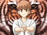  1girl fate/stay_night fate_(series) fujimura_taiga solo takeuchi_takashi tiger 