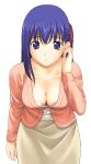  1girl a1 blue_eyes blue_hair breasts cleavage downblouse fate/stay_night fate_(series) matou_sakura ribbon solo 