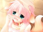  1girl animal_ears bare_shoulders blush child collar crying dog_ears dog_tail fang game_cg green_eyes hand_on_another&#039;s_head hand_on_head open_mouth pet petting pink_hair sakurazawa_izumi solo_focus tail tears wanko wanko_(wanko_to_lily) wanko_to_lily 