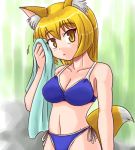  1girl animal_ears bikini breasts female fox_ears lowres outdoors sasuke_(sasuke_no_sato) solo swimsuit tail touhou yakumo_ran 