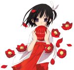  1girl black_hair camellia_(flower) flower hinayuki_usa japanese_clothes miko petals red_hakama short_hair solo transparent_background violet_eyes 