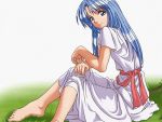  1girl ancient_ys_vanished blue_eyes blue_hair dress feena_(ys) feet grass long_hair ribbon sitting solo white_dress ys 