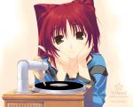  amazuyu_tatsuki brown_eyes casual kousaka_tamaki phonograph redhead to_heart_2 