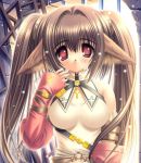  animal_ears blush brown_hair cat_ears detached_sleeves long_hair norita red_eyes twintails 