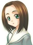  00s 1girl arima_nana brown_hair green_eyes maria-sama_ga_miteru parted_lips school_uniform serafuku shiwo short_hair solo upper_body white_background 