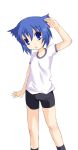  1girl :o bike_shorts blue_eyes blue_hair blush gym_uniform highres looking_at_viewer no_nose pani_poni_dash! safi serizawa_akane short_hair simple_background solo standing white_background 