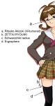 1girl akizuki_ritsuko diagram glasses idolmaster miniskirt parody plaid plaid_skirt school_uniform science serafuku skirt solo takahashi_ren thigh-highs zettai_ryouiki 