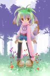  animal_ears blush_stickers child dog_ears gloves green_hair mushroom scarf tail thigh-highs yurikuta_tsukumi 